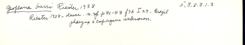 index card