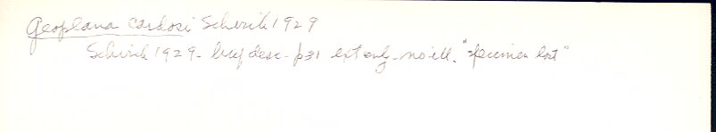 index card