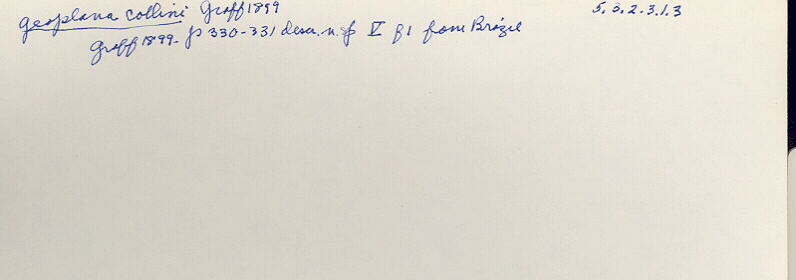 index card
