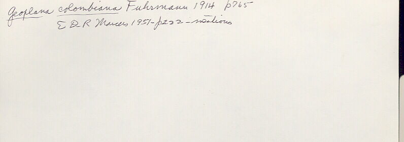 index card