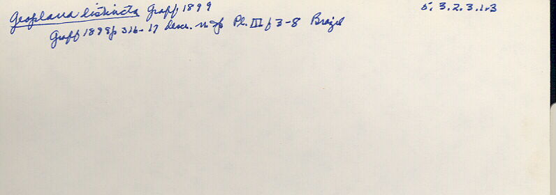 index card