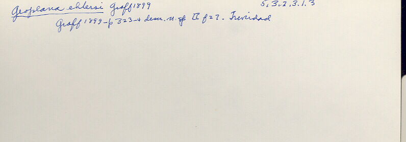 index card