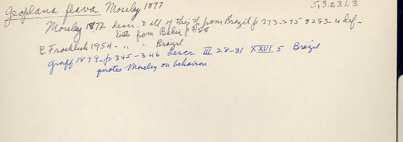 index card