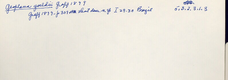 index card