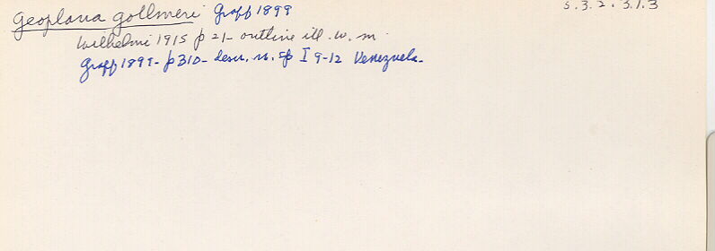 index card