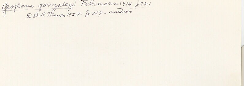 index card
