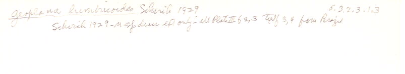 index card