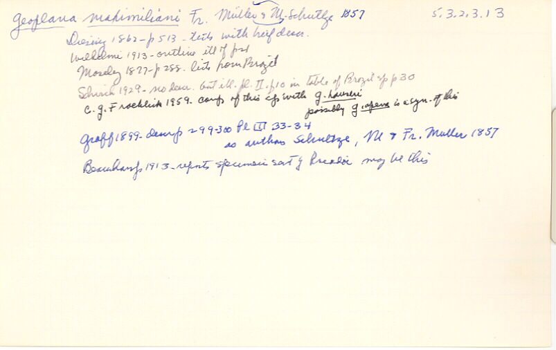 index card