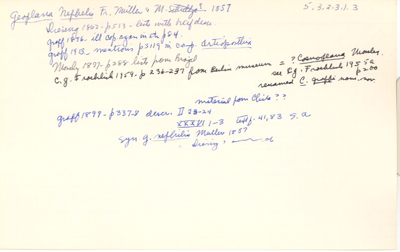 index card