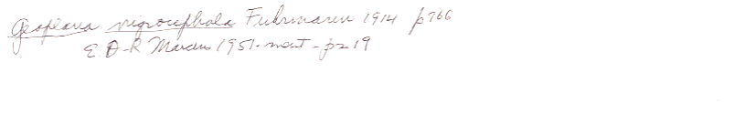 index card