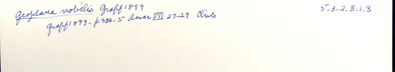 index card