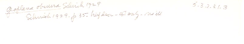 index card