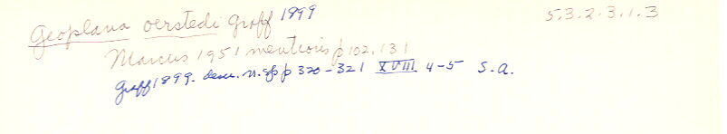 index card