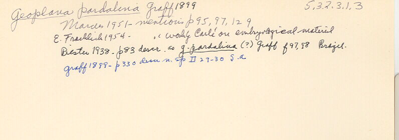 index card