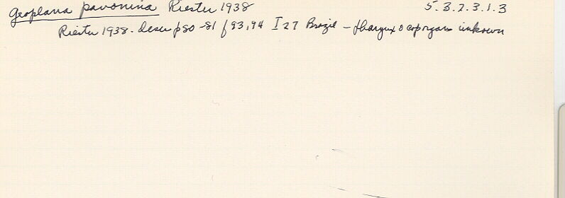 index card