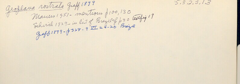 index card