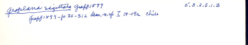 index card