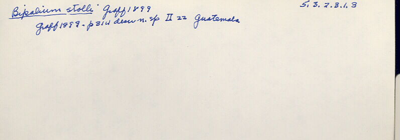 index card