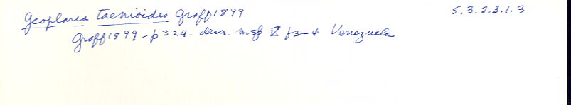 index card