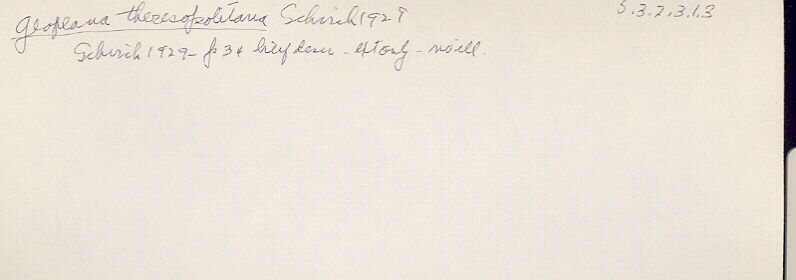 index card
