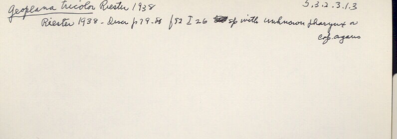 index card