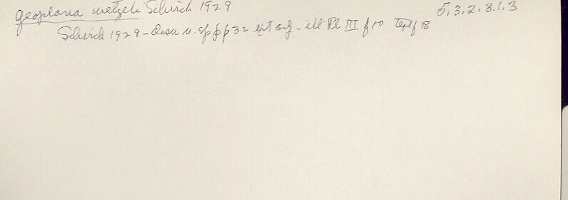 index card