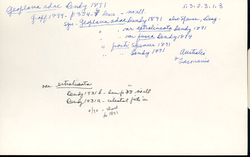 index card