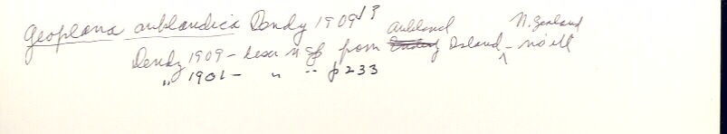 index card