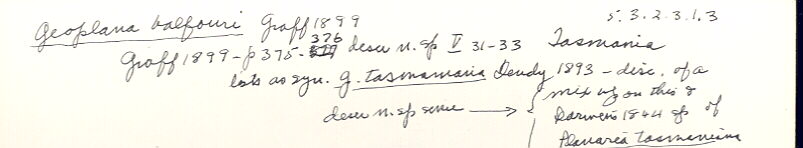 index card