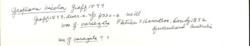 index card