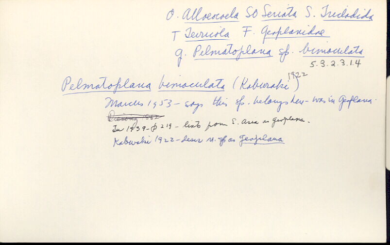 index card