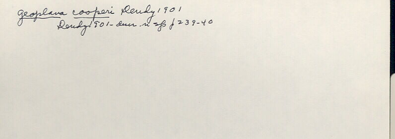 index card