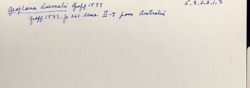 index card