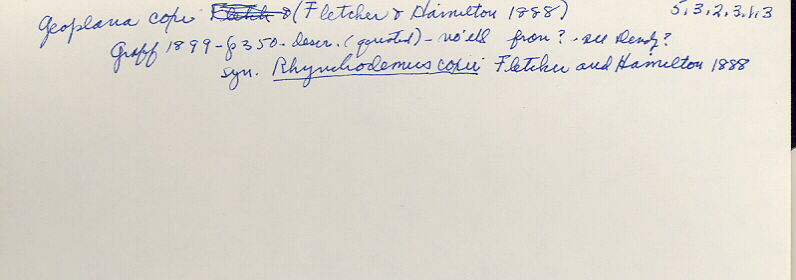 index card