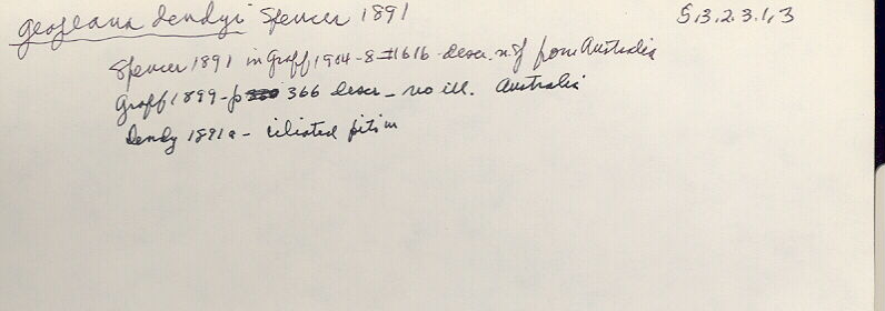 index card