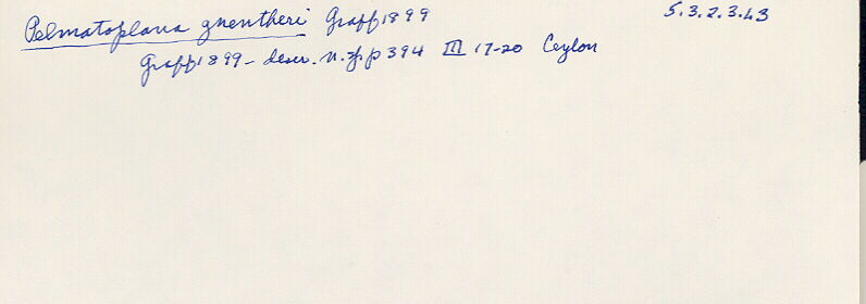 index card