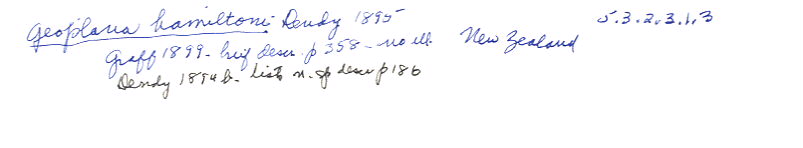 index card