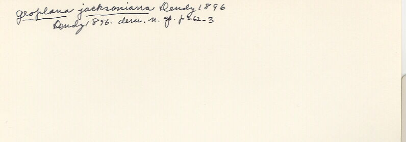 index card