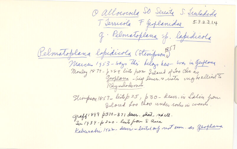 index card