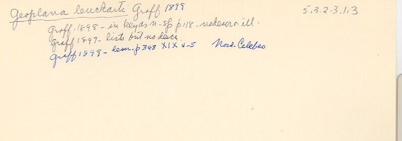 index card
