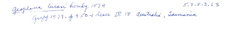 index card