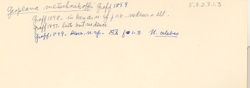 index card