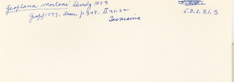 index card