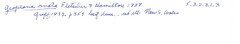 index card