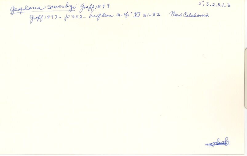 index card