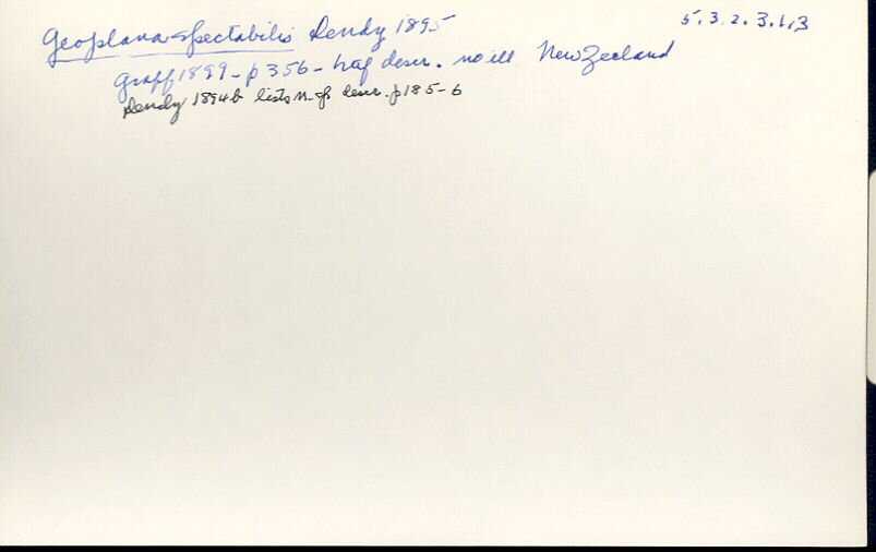 index card