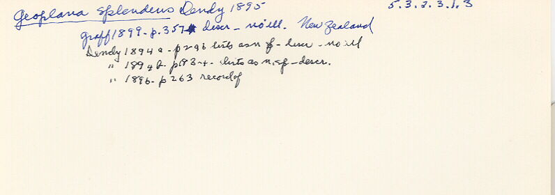 index card