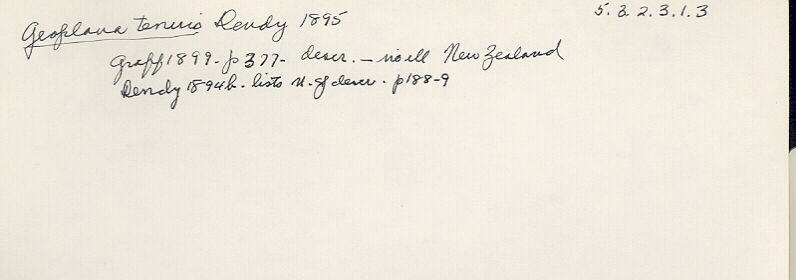 index card