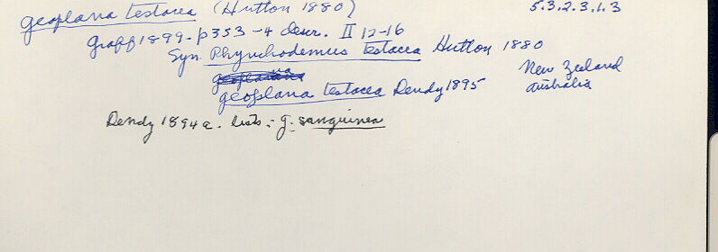 index card