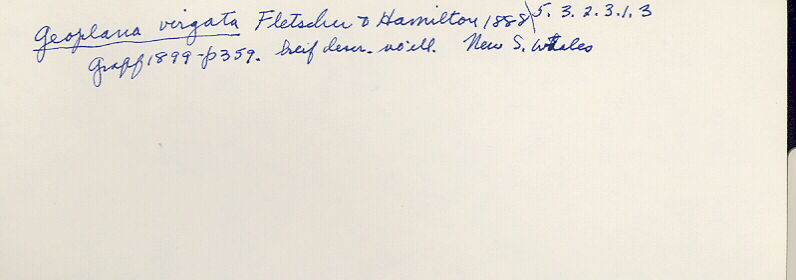 index card
